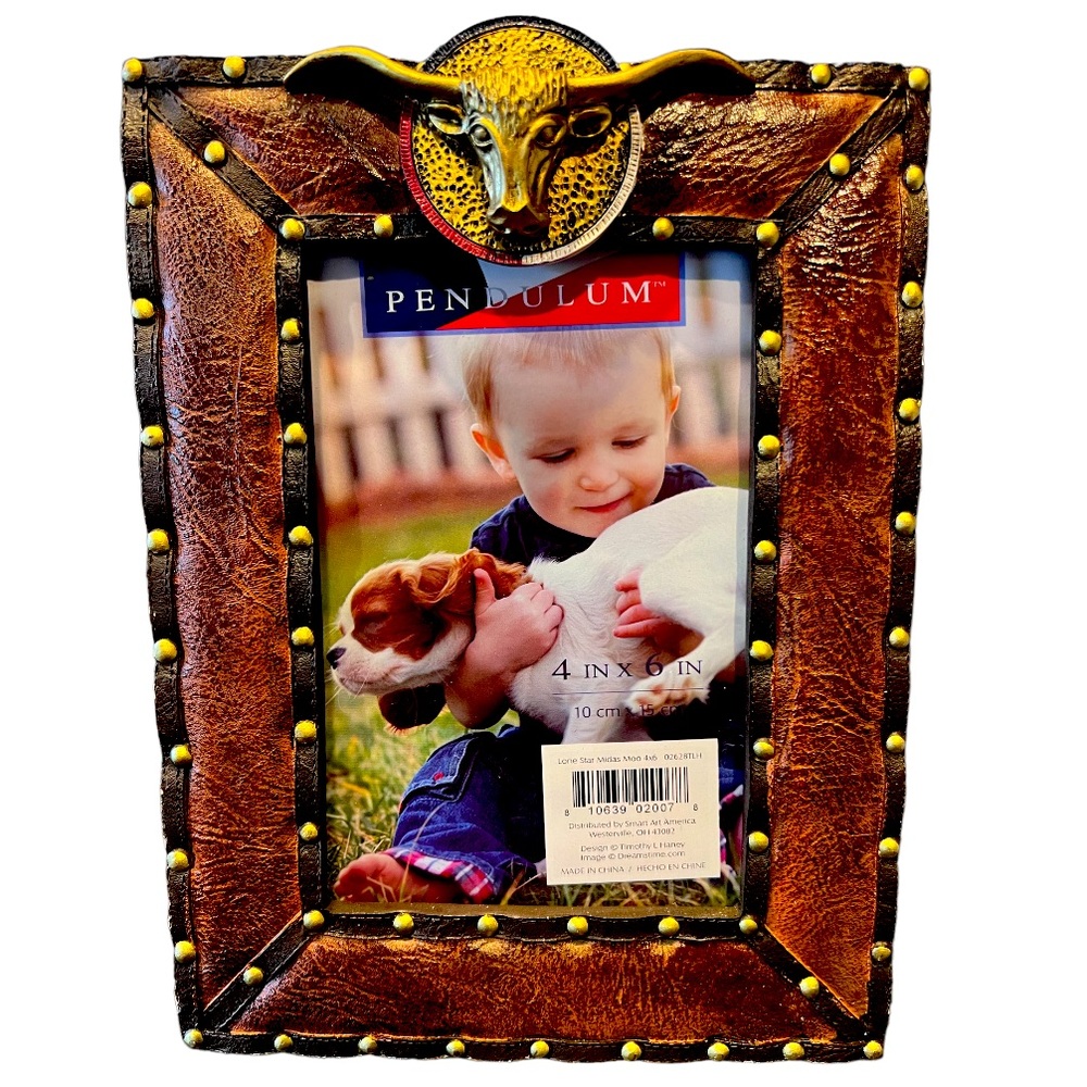 NEW Pendulum Western Steer Frame